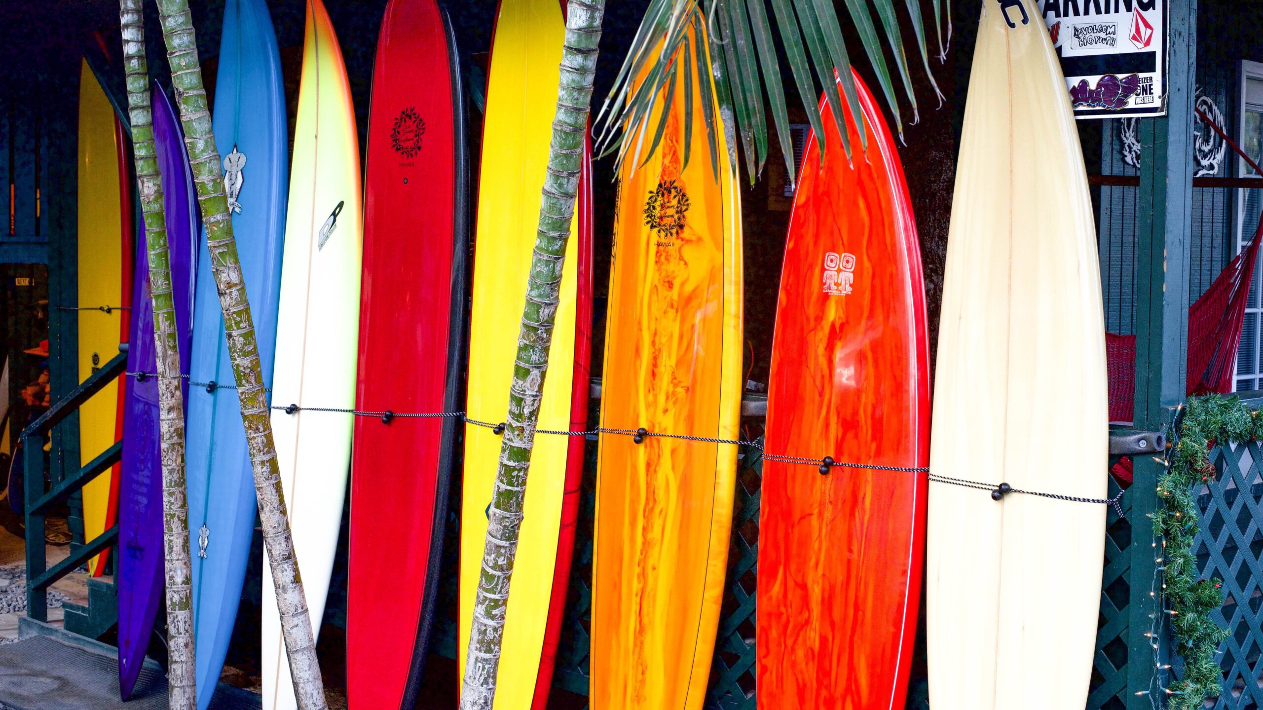 surfboard ideas