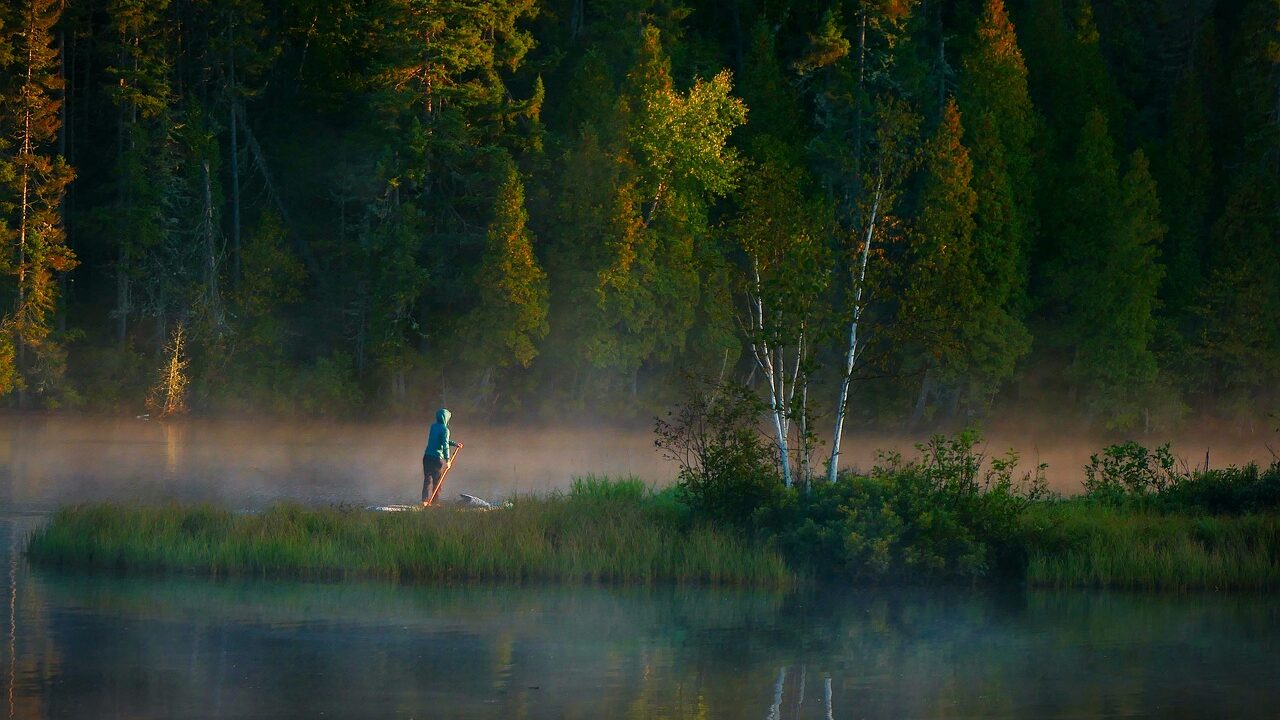 Paddle boarding nature