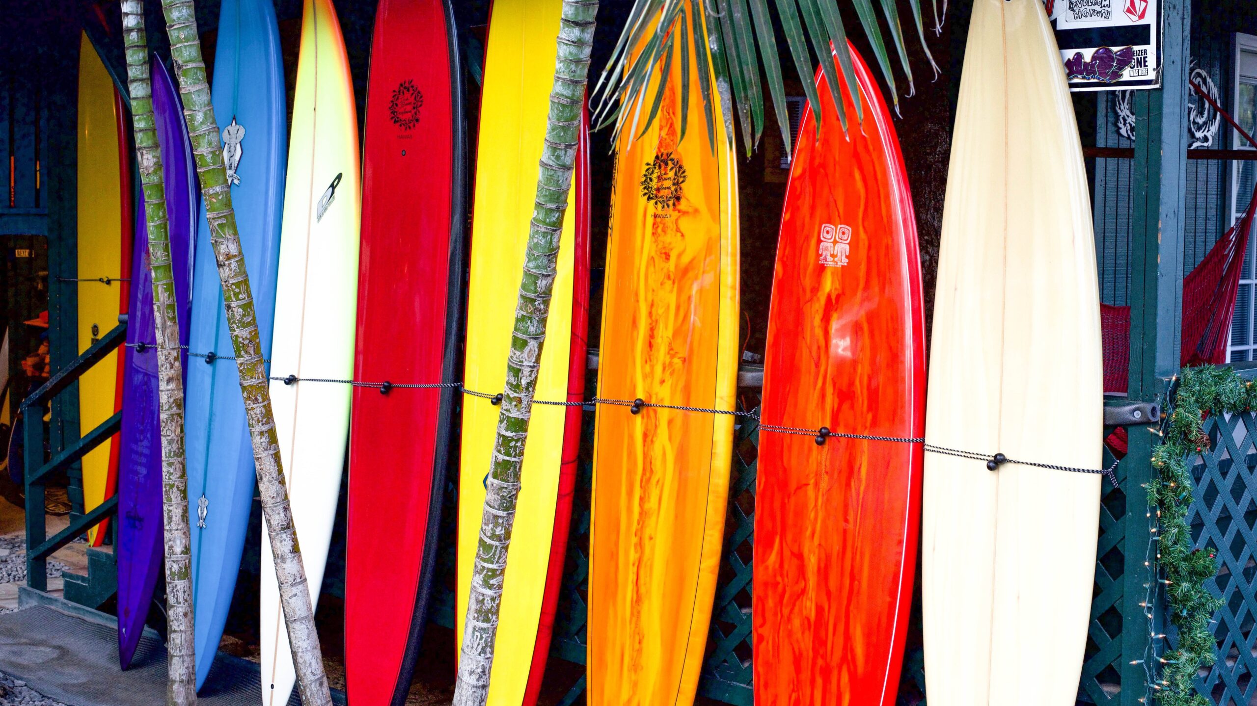 How To Start A surf Shop