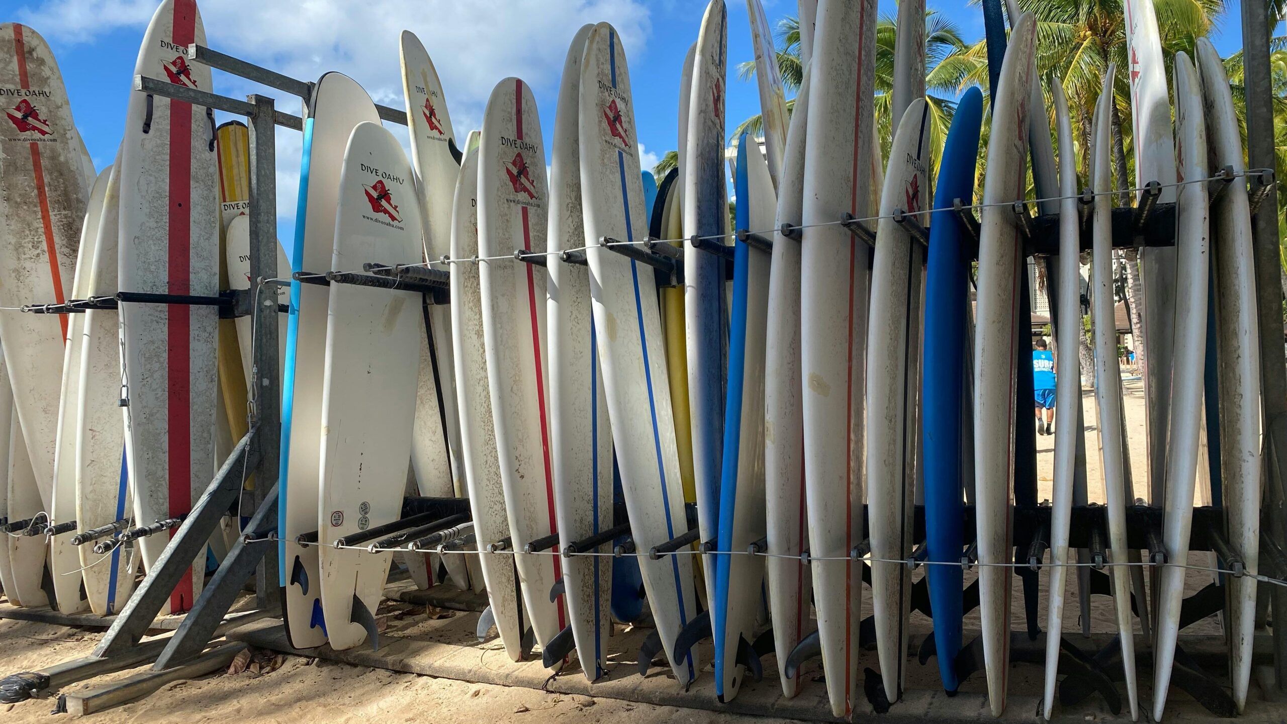 the best surfboard racks
