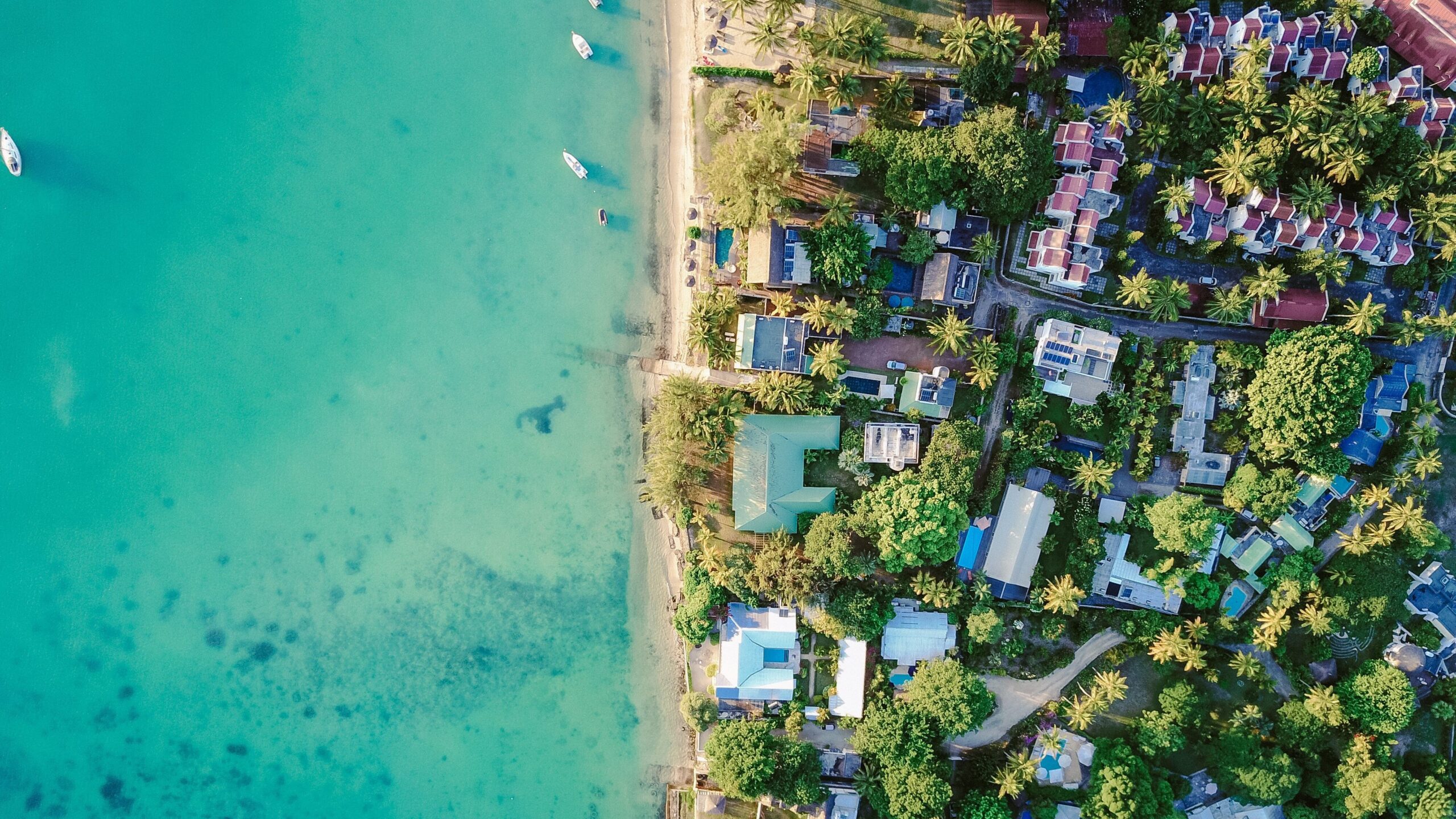 How to start a surf shop