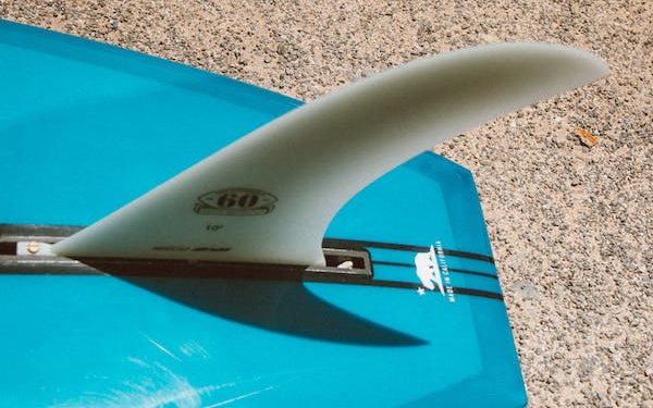 surfboard fin and fin box